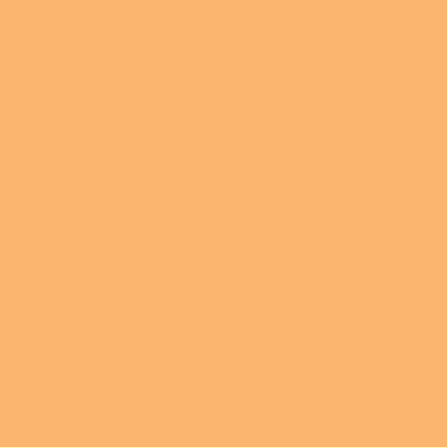 Pure Solids- Sorbet