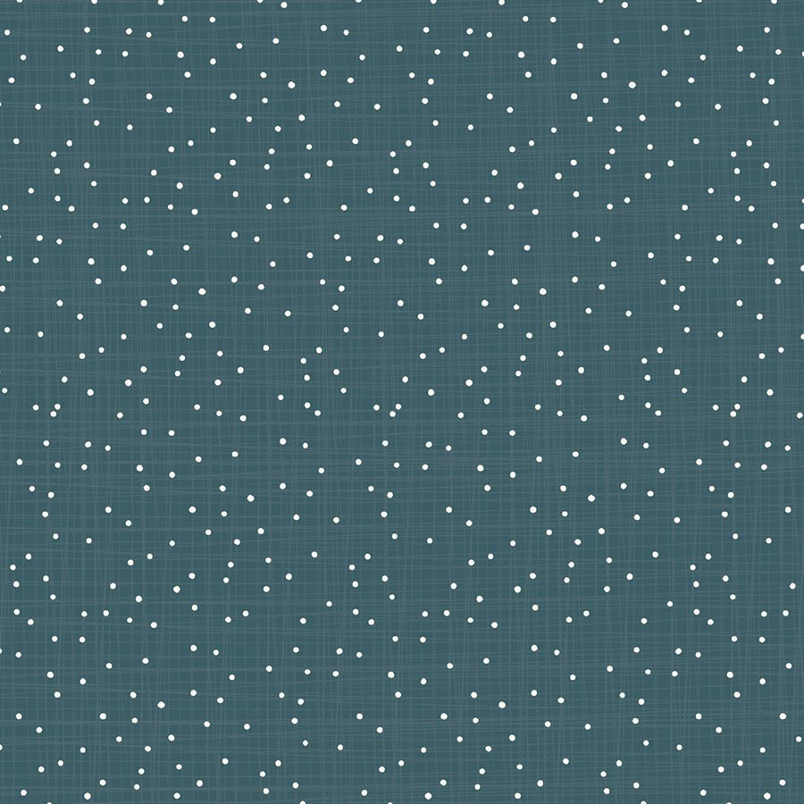 From Far and Wide- Constellation in Atlantic