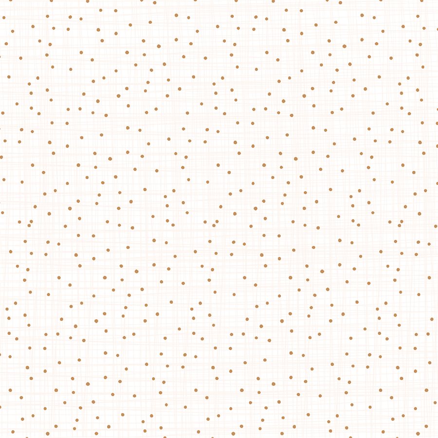 From Far and Wide- Constellation in Light Sunset