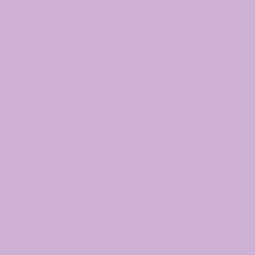 Pure Solids- Day Dreamer