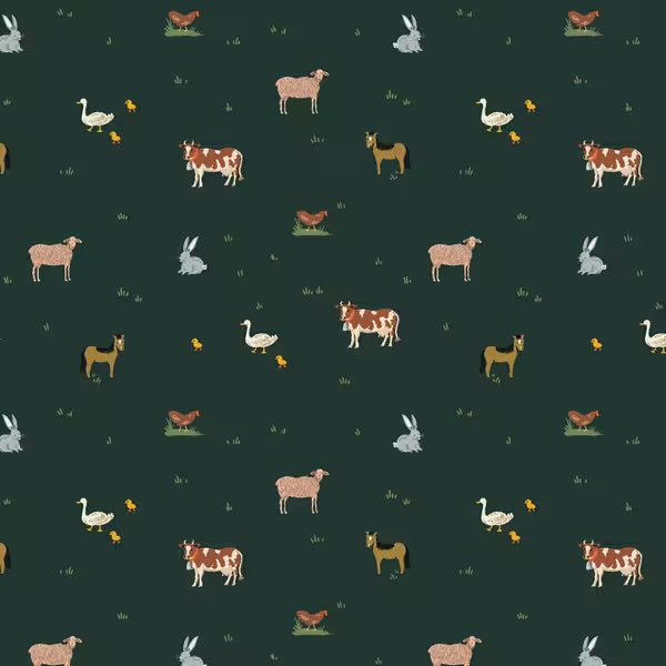 Gracie- Farm Animals in Evergreen