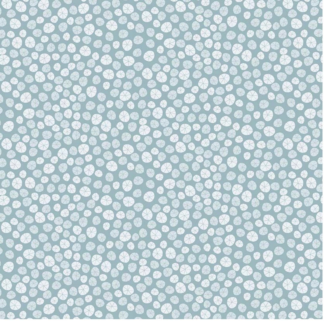 Beyond the Sea- Sand Dollar