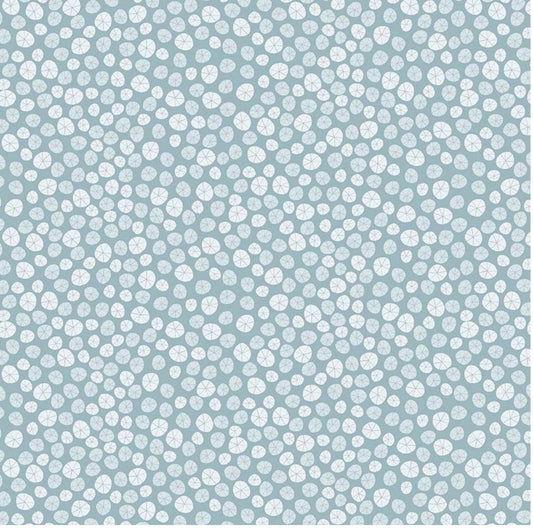 Beyond the Sea- Sand Dollar