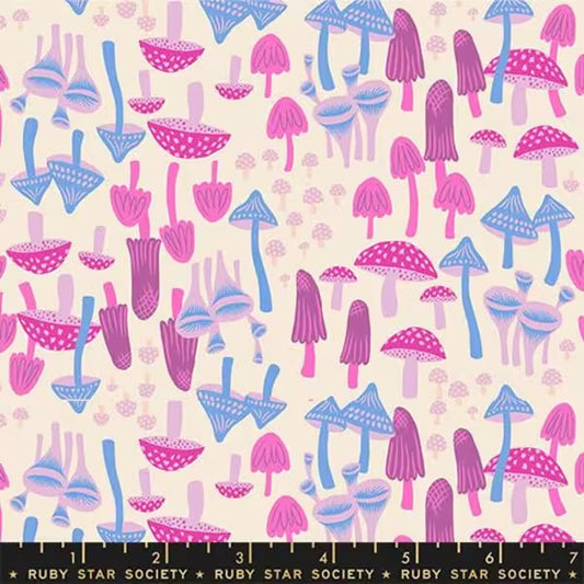 Hello Alice- Mushroom Land in Shell