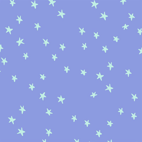 Starry- Dusk