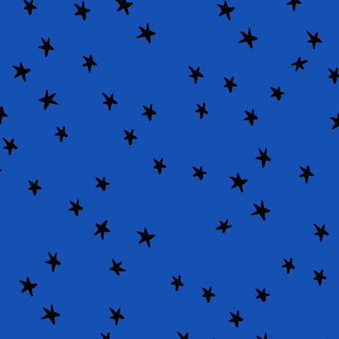 Starry- Blue Ribbon