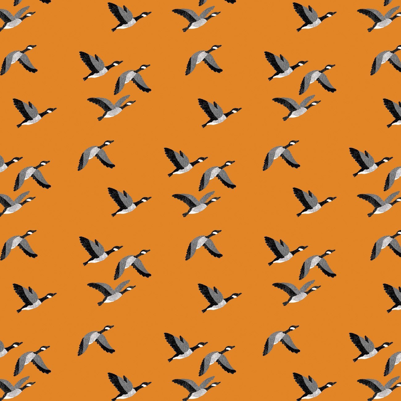 Canadian Boreal Forest- Canadian Geese- Orange