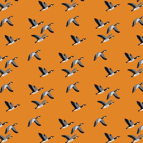 Canadian Boreal Forest- Canadian Geese- Orange